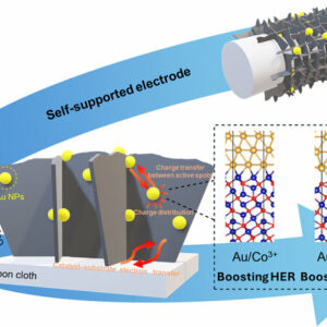 1 Mott–Schottky Au/Co3O4 Decorated on a Carbon Cloth Substrate as an Efficiently Bifunctional Electrocatalyst for Hydrogen and Oxygen Evolution Reactions