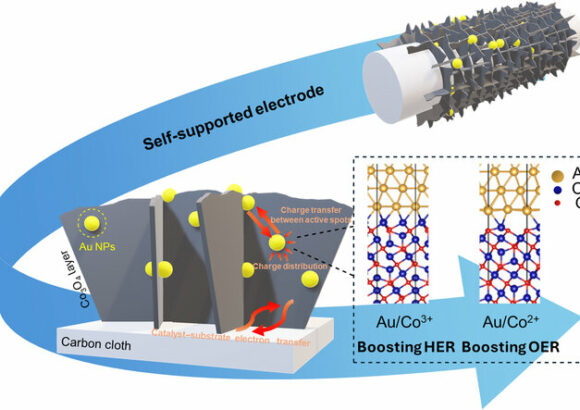 Mott–Schottky Au/Co3O4 Decorated on a Carbon Cloth Substrate as an Efficiently Bifunctional Electrocatalyst for Hydrogen and Oxygen Evolution Reactions