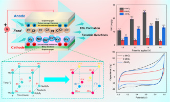 Tunnel-phase α-, β-, and γ-MnO2 for salt removal in hybrid capacitive deionization