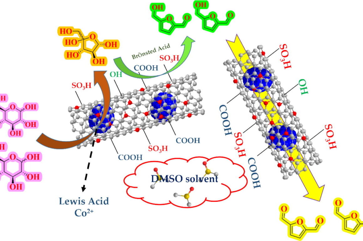 Cobalt-modified nitrogen-doped carbon nanotubes as bifunctional catalysts for one-pot synthesis of 2,5-diformylfuran from glucose