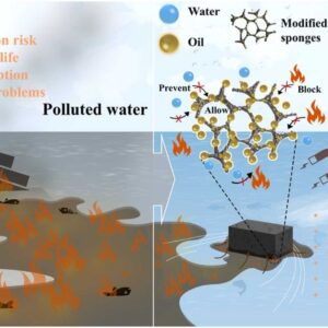Novel eco-friendly polyurethane sponge: A sustainable alternative to petroleum-based material in flame retardancy, oil-water separation, and emulsion purification for oil spill remediation