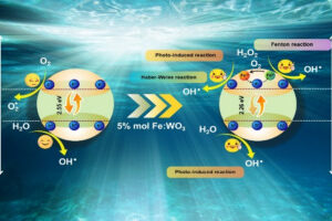 Promoting the role of Fe doping in WO3 toward enhancing H2O2 oxidation ability for contaminant degradation