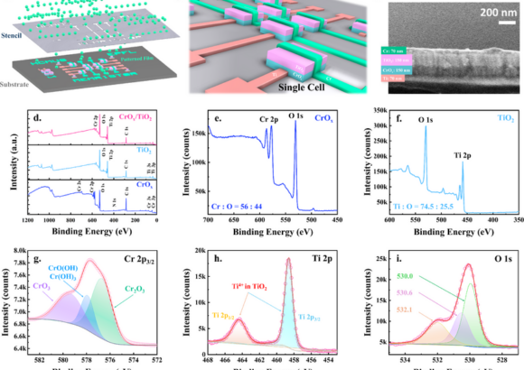 Selector-Free 16 × 16 CrOX/TiO2-Based Memristor Array for Synaptic Dynamics and LTP/ LTD Emulation: Experimental–Computational Correlation