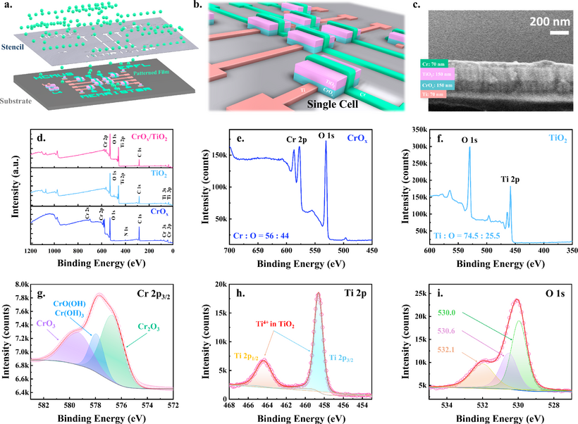 Selector-Free 16 × 16 CrOX/TiO2-Based Memristor Array for Synaptic Dynamics and LTP/ LTD Emulation: Experimental–Computational Correlation
