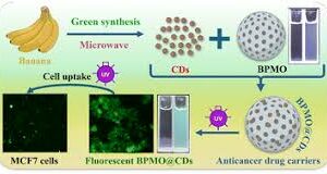 Biogenic fluorescent carbon dot-decorated mesoporous organosilica nanoparticles for enhanced bioimaging and chemotherapy