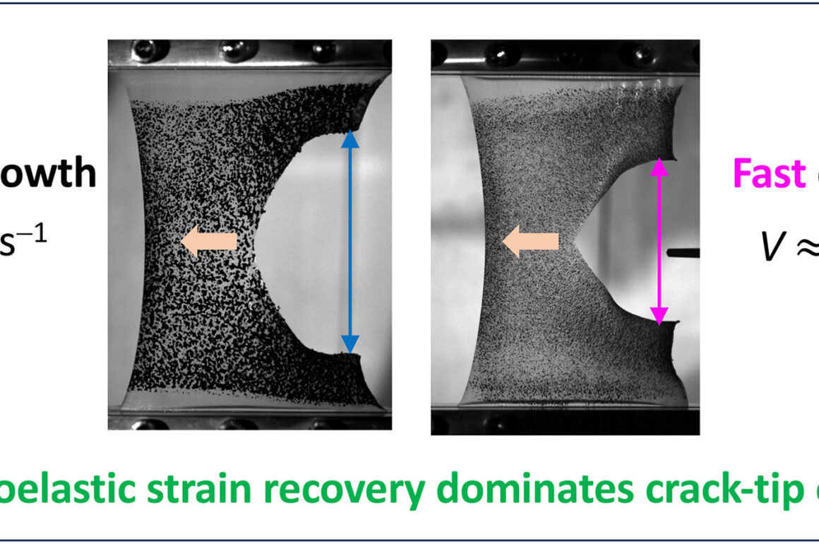 Nghiên cứu khoa học: Làm sáng tỏ cơ chế động lực học vết nứt trong vật liệu đàn hồi nhớt
