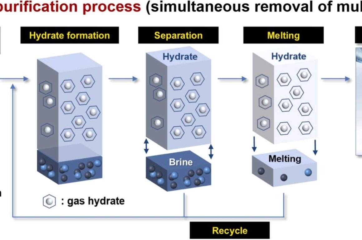 1-s2.0-S0304389423019830-ga1_lrg Simultaneous removal of multi-nuclide (Sr2+, Co2+, Cs+, and I-) from aquatic environments using a hydrate-based water purification process