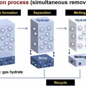 Simultaneous removal of multi-nuclide (Sr2+, Co2+, Cs+, and I-) from aquatic environments using a hydrate-based water purification process