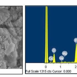 In vitro assessment of bovine-derived hydroxyapatite for bone xenografts