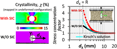 Coupled Evolution of Local Stress and Strain-Induced Crystallization Near a Circular Defect in Stretched Natural Rubber