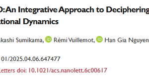 SimHS-AFMfit-MD: An Integrative Approach for Inferring Alpha-Actinin Atomic Conformational Dynamics