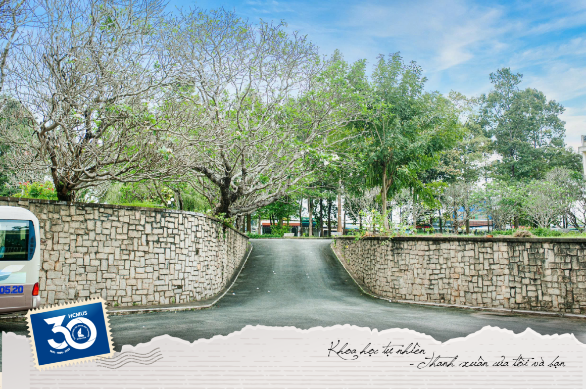 post1-01 💌 #HCMUS30 | Lời chúc 01