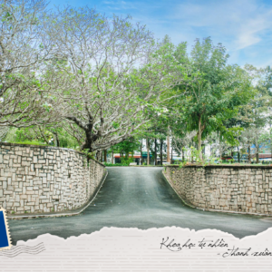 💌 #HCMUS30 | Lời chúc 01