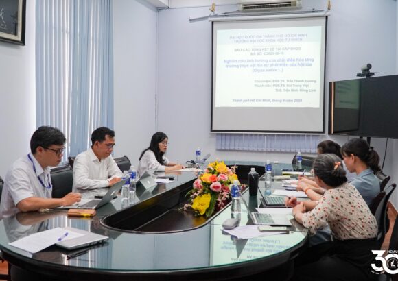Nghiệm thu đề tài cấp ĐHQG-HCM về ảnh hưởng của chất điều hòa tăng trưởng đến sự phát triển của hột lúa