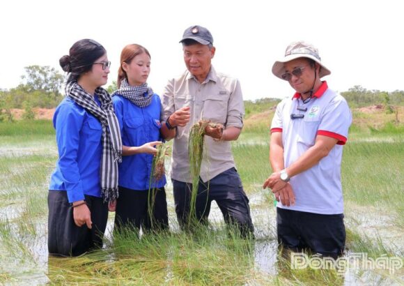 TS Trần Triết: Người thuộc từng “nhịp thở” của Tràm Chim