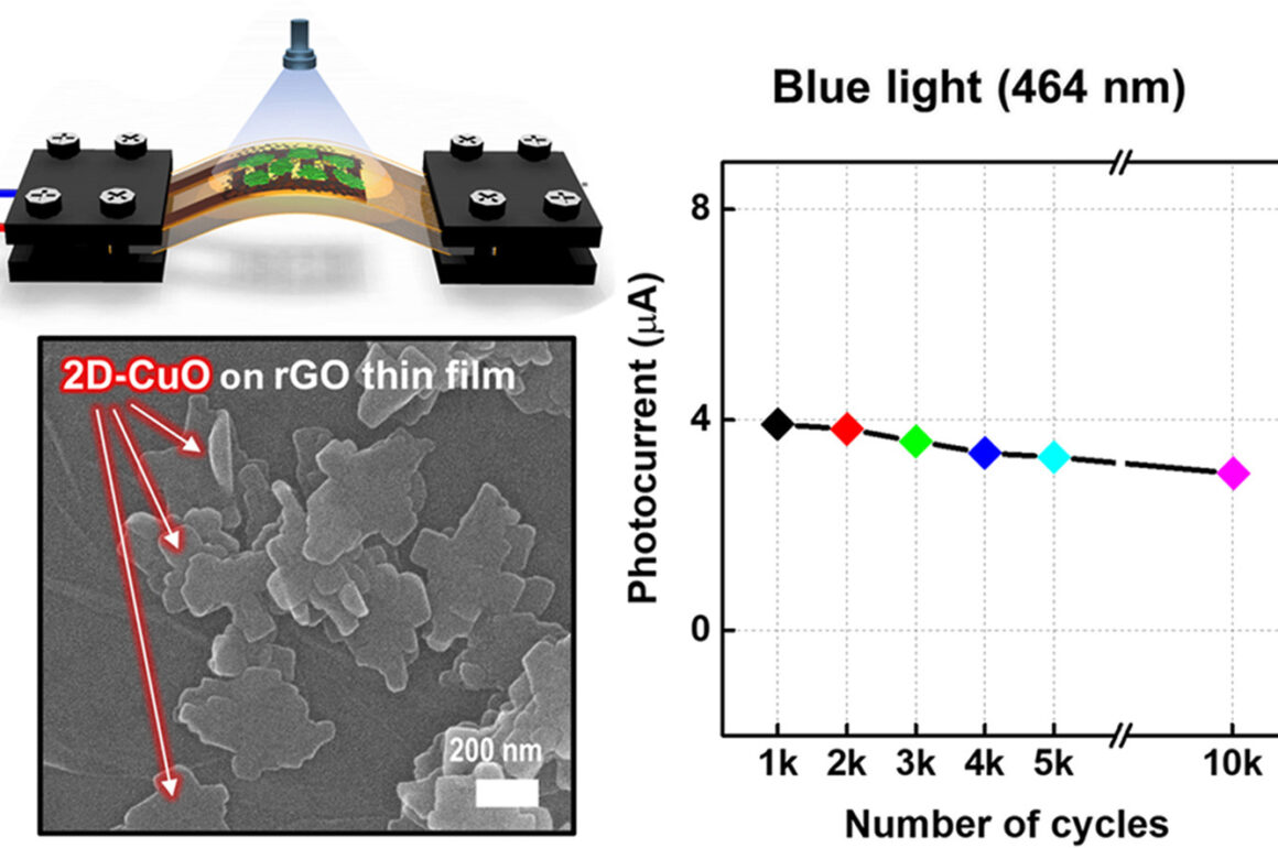 Developing low-cost nanohybrid of CuO nanoflakes and graphene thin film for sustainable photodetector applications