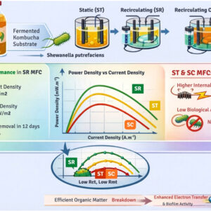 Valorization of kombucha fermentation medium for electricity generation in recirculating microbial fuel cells with Shewanella putrefaciens