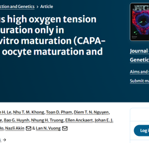 Picture1 Use of low versus high oxygen tension during pre-maturation only in capacitation in vitro maturation (CAPA-IVM): impact on oocyte maturation and metabolism