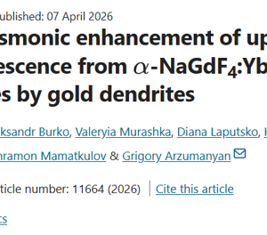 Effective plasmonic enhancement of up-conversion photoluminescence from a-NaGdF4:Yb3+,Er3+ nanoparticles by gold dendrites