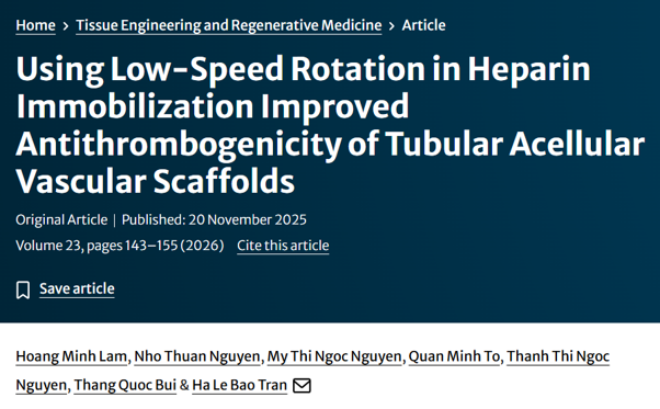 Using Low-Speed Rotation in Heparin Immobilization Improved Antithrombogenicity of Tubular Acellular Vascular Scaffolds