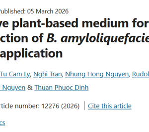 Cost-effective plant-based medium for enhanced spore production of B. amyloliquefaciens CN12 for biofertilizer application