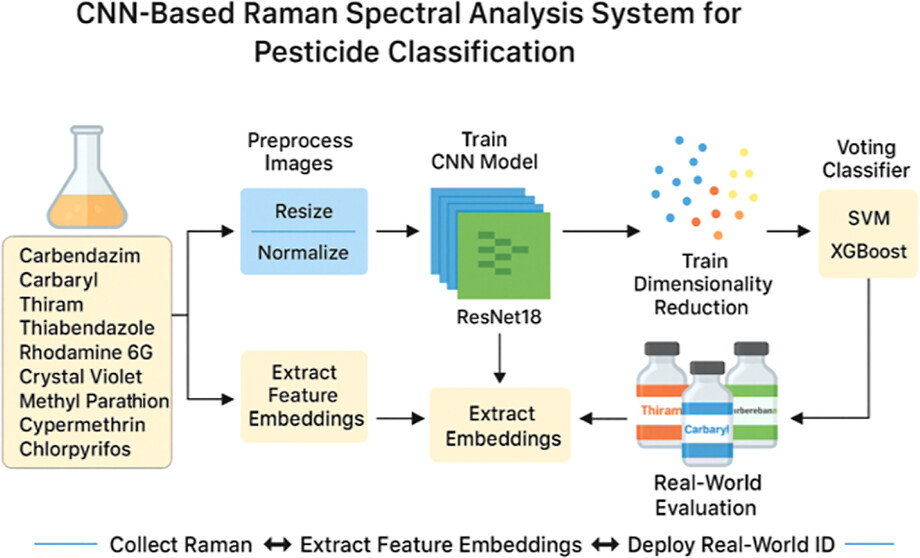 Rapid Machine Learning-Driven Detection of Pesticides and Dyes Using Raman Spectroscopy