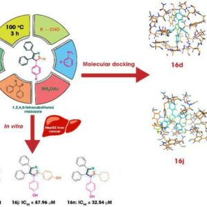 A Brønsted-based deep eutectic solvent as a green catalyst for the sustainable one-pot synthesis of 1,2,4,5-tetrasubstituted imidazole derivatives: in vitro cytotoxicity and in silico binding studies on HepG2 cells