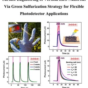 z7963574587576_96bd2c99f63d1e16d8cf88572f46171e Surface engineering of vertical ZnO nanorods via green sulfurization strategy for flexible photodetector applications