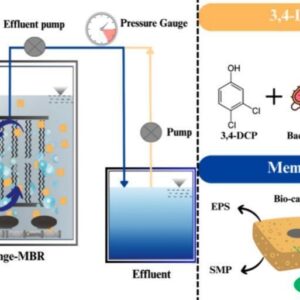 z7963574587576_96bd2c99f63d1e16d8cf88572f46171e Integrated sponge-membrane bioreactor for removal of 3,4-dichlorophenol: Effects of hydraulic retention time on organic removal, biofouling and microbial adaptation