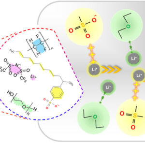 z7963574587576_96bd2c99f63d1e16d8cf88572f46171e Cost-effective sulfonate-modified PEO/PVDF electrolytes toward high-performance solid-state lithium batteries