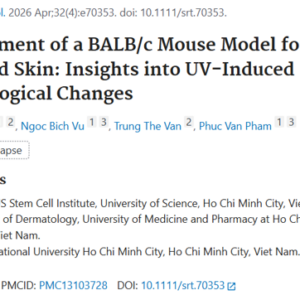 Establishment of a BALB/c Mouse Model for Photoaged Skin: Insights into UV-Induced Dermatological Changes