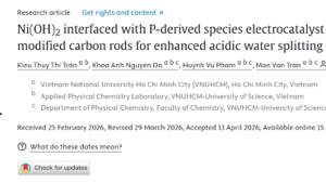 Ni(OH)2 interfaced with P-derived species electrocatalyst supported on hydrophilically modified carbon rods for enhanced acidic water splitting